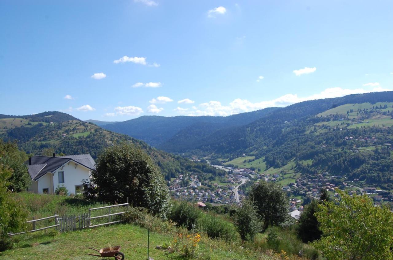 Studio Le Panorama La Bresse Luaran gambar