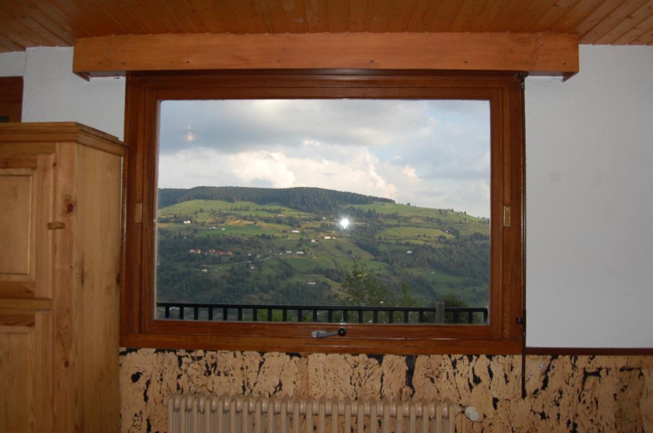 Studio Le Panorama La Bresse Luaran gambar